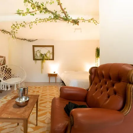 Cocon Saint - Coeur De Apartment *
